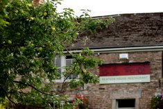 apple trees sunday roast, lunch, restaurant in barnsley